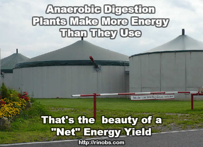 Understanding anaerobic digestion energy yeild