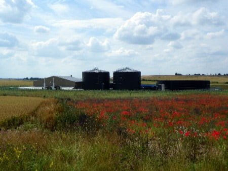 Biogas – What it is and How it is Used Biogas – What it is and How it is Used